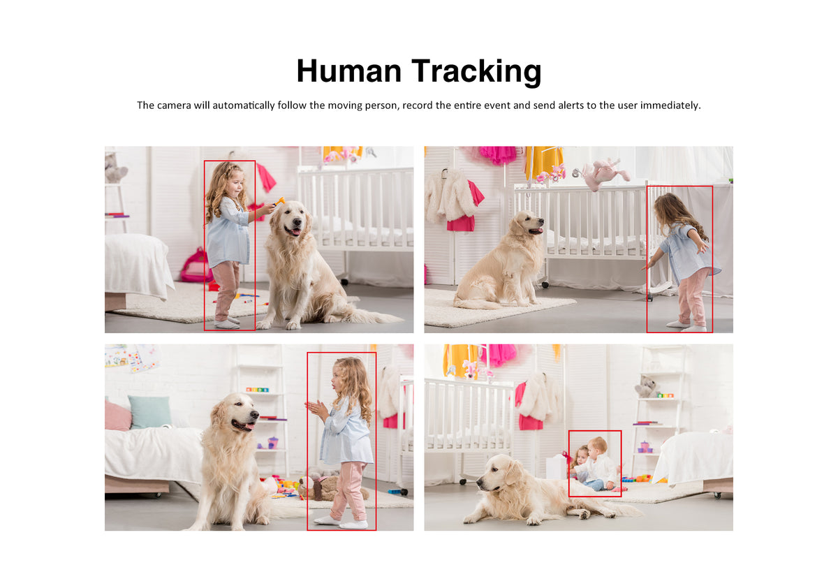 Tera Guard Smart Indoor WiFi Camera | كاميرا مراقبة داخلية ذكية